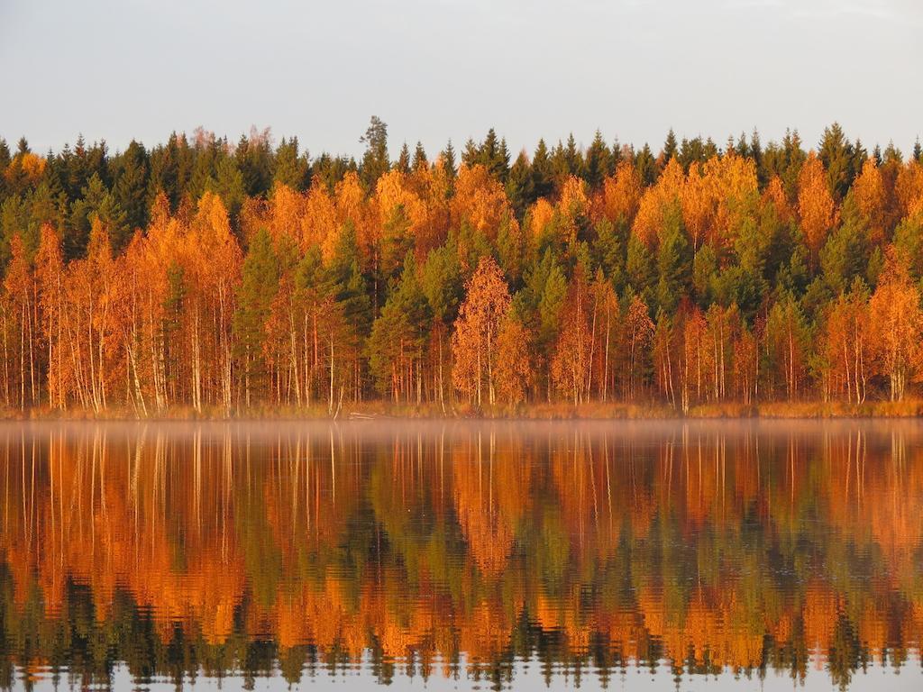 Hotel Honkiniemi Ähtäri Zewnętrze zdjęcie